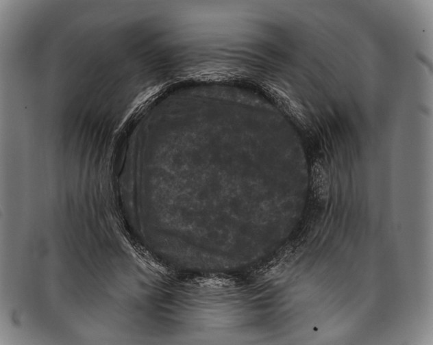 X0000097850400200804041511