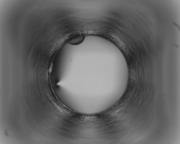 X0000097850401200804041511