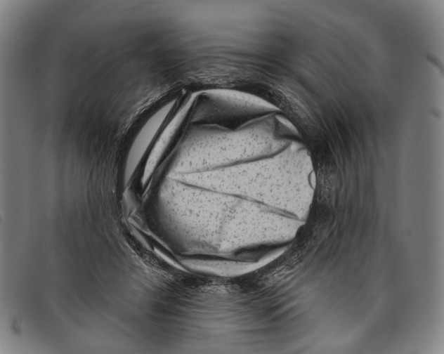 X0000097850404200804041511