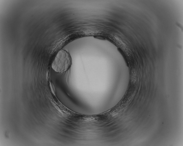 X0000097850405200804041511