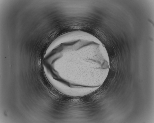 X0000097850406200804041511