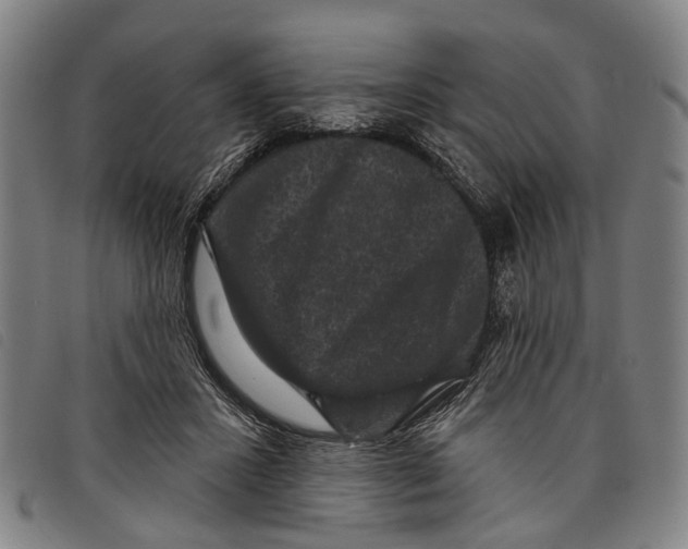 X0000097850407200804041511