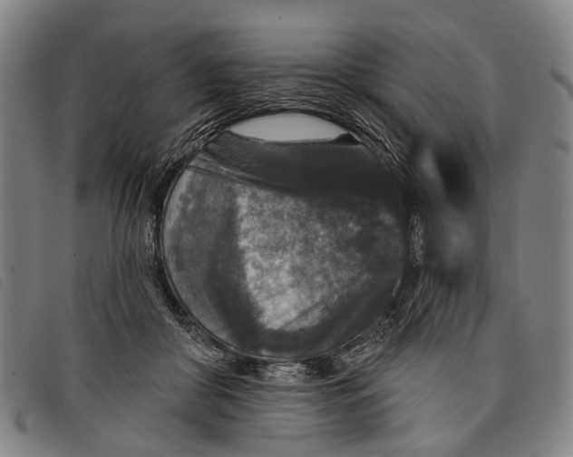 X0000097850410200804041511