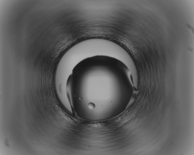 X0000097850411200804041511