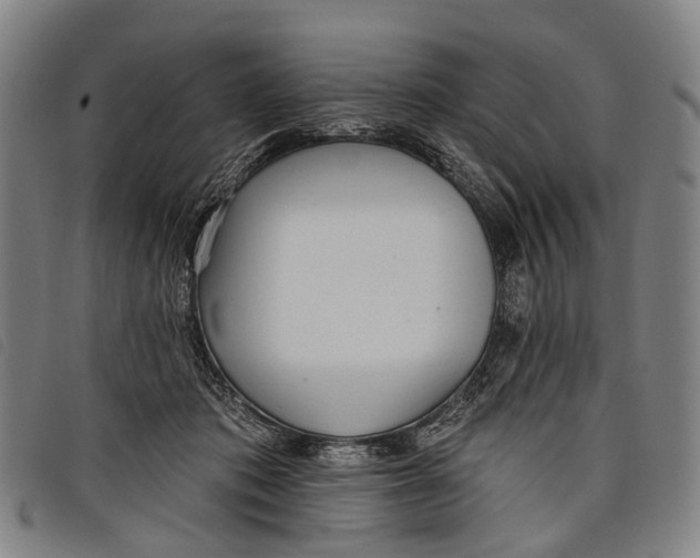 X0000097850413200804041511