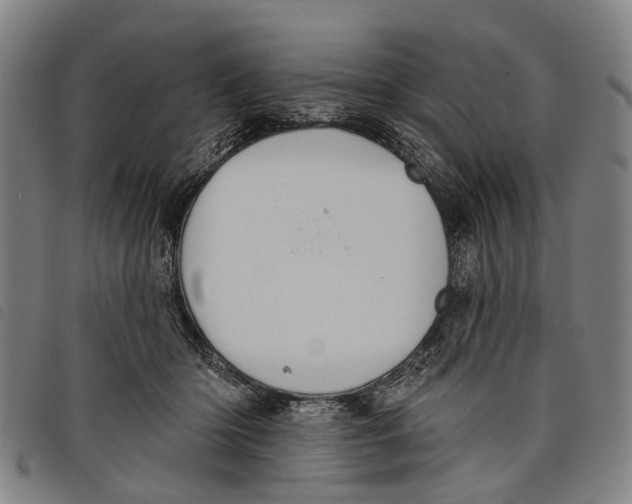 X0000097850414200804041511