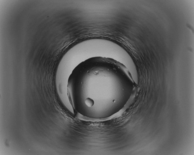 X0000097850415200804041511