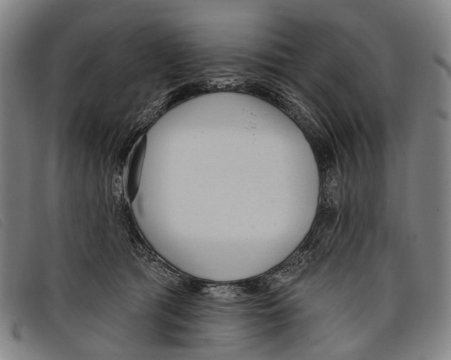 X0000097850417200804041511