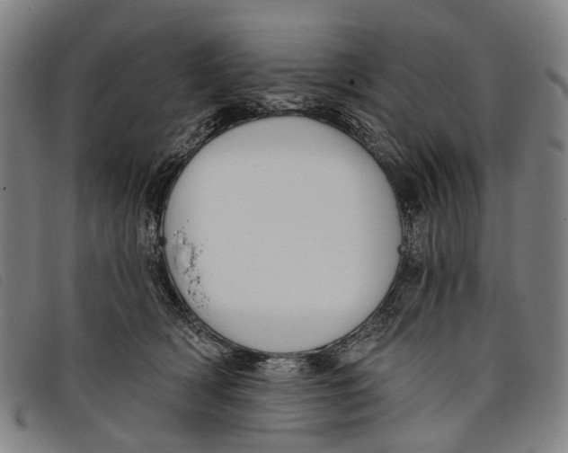 X0000097850418200804041511