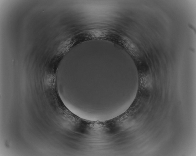 X0000097850419200804041511