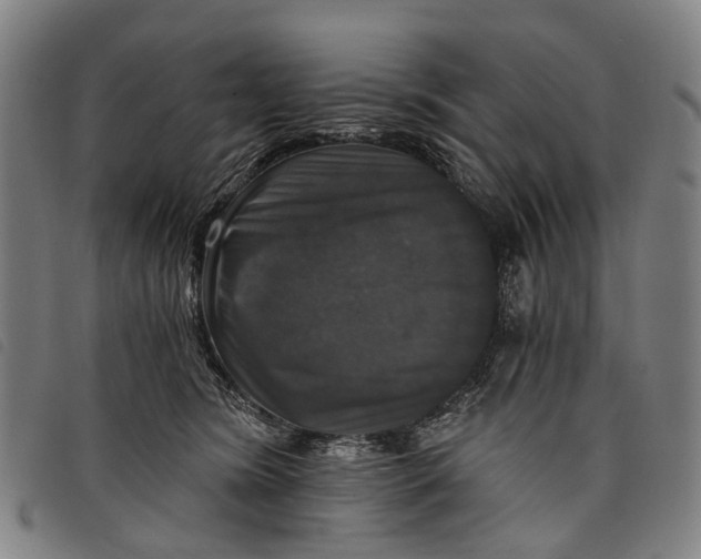 X0000097850420200804041511