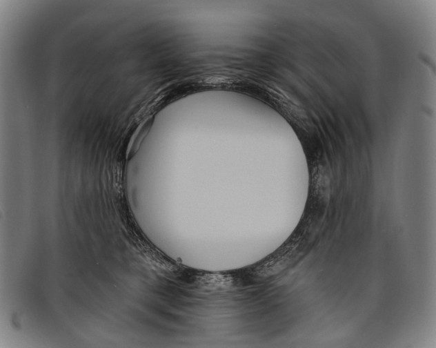 X0000097850421200804041511