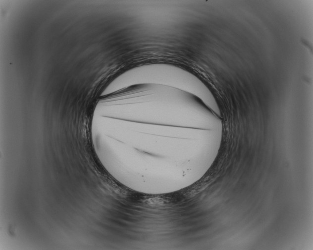 X0000097850423200804041511