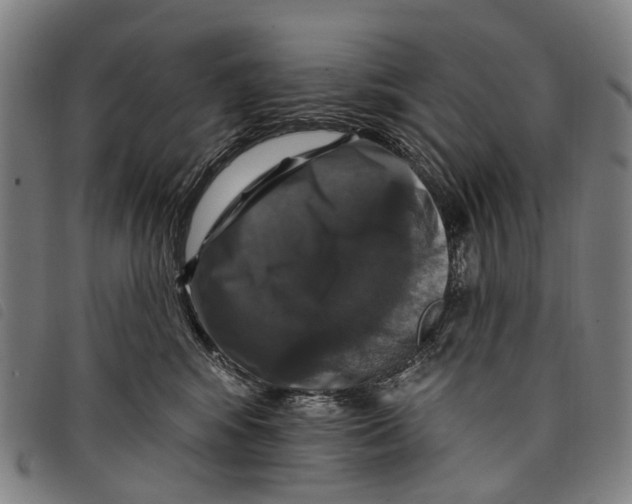 X0000097850424200804041511