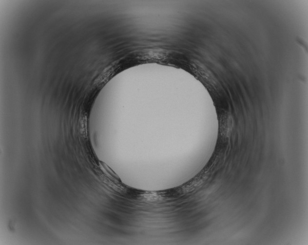 X0000097850425200804041511