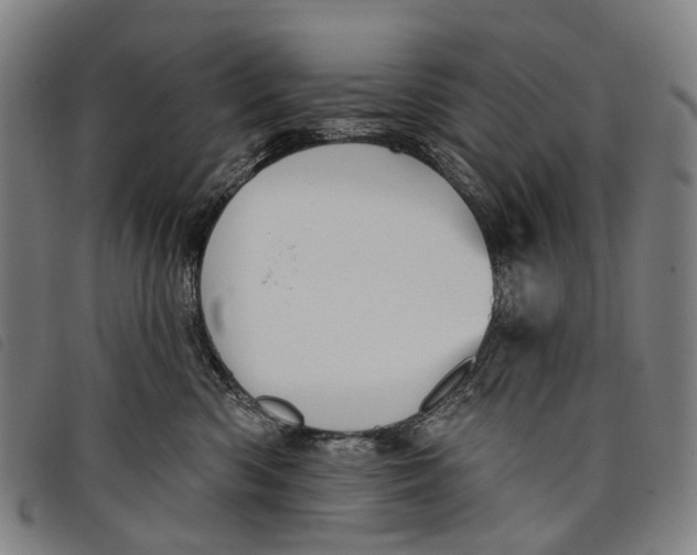 X0000097850426200804041511