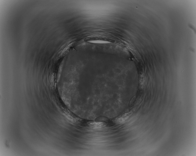 X0000097850428200804041511