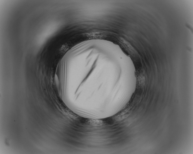 X0000097850429200804041511