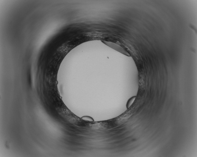 X0000097850430200804041511