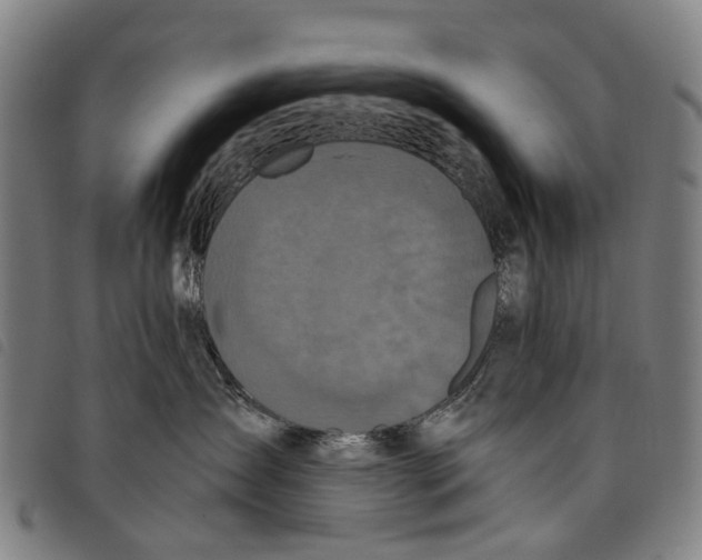 X0000097850431200804041511