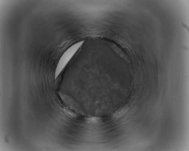 X0000097850432200804041511