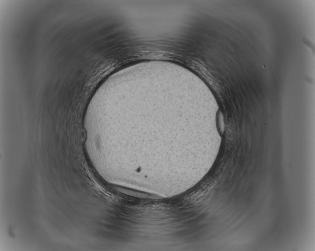 X0000097850433200804041510