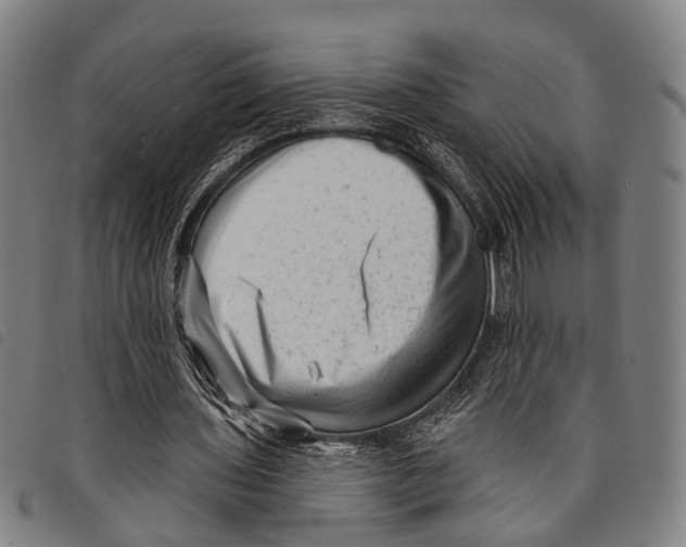 X0000097850435200804041510