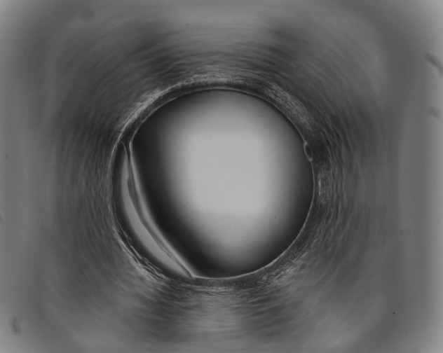 X0000097850436200804041510