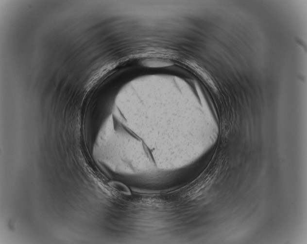 X0000097850437200804041510