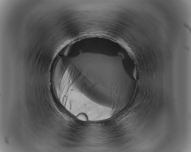 X0000097850438200804041510