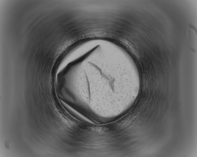 X0000097850439200804041510