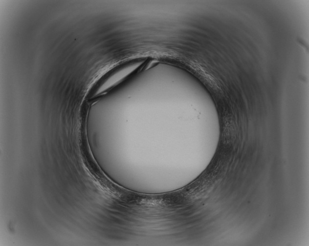 X0000097850440200804041510