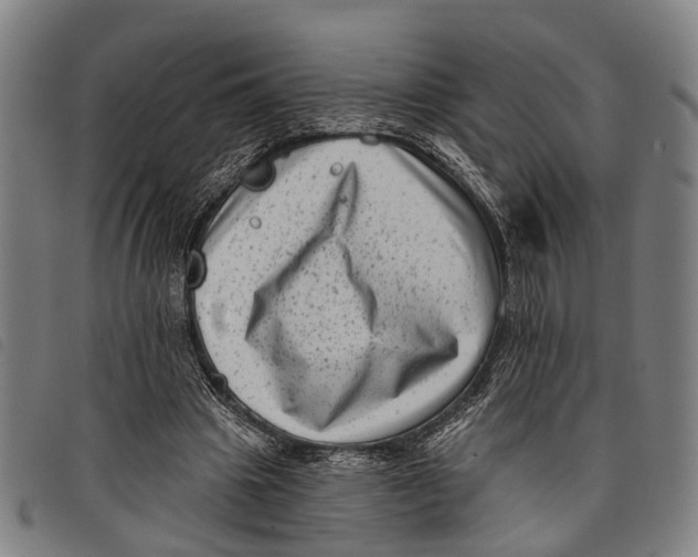 X0000097850441200804041510