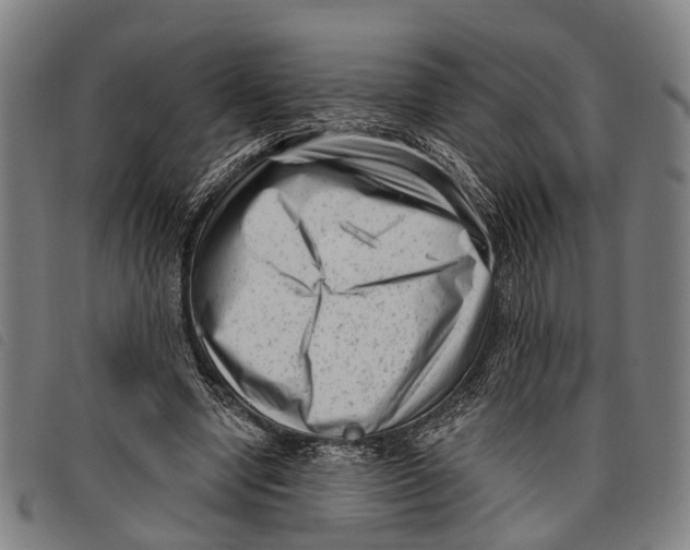 X0000097850442200804041510