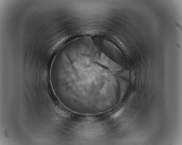 X0000097850444200804041510