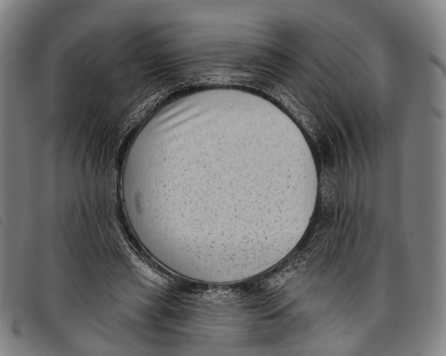 X0000097850445200804041510