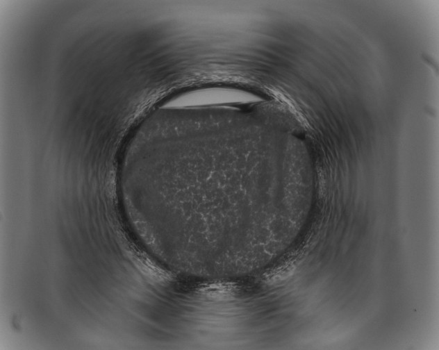 X0000097850447200804041510