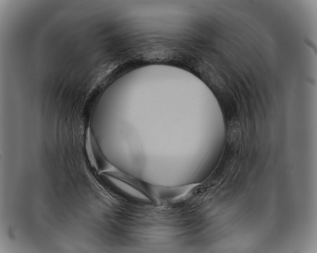 X0000097850448200804041510