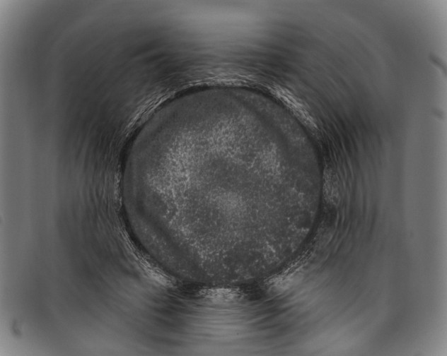 X0000097850449200804041510