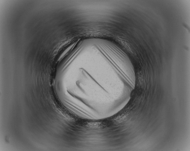 X0000097850450200804041510