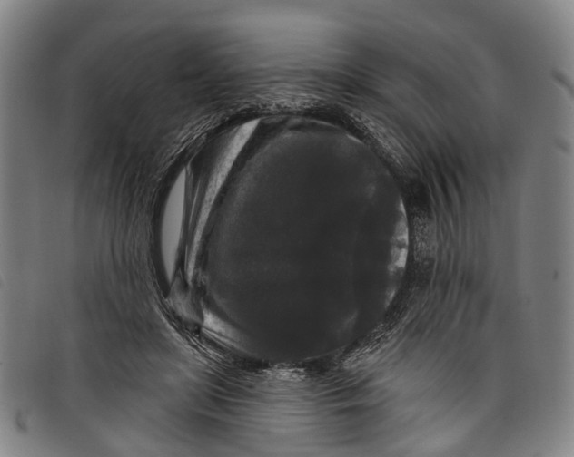 X0000097850451200804041510