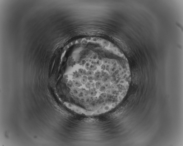 X0000097850453200804041510