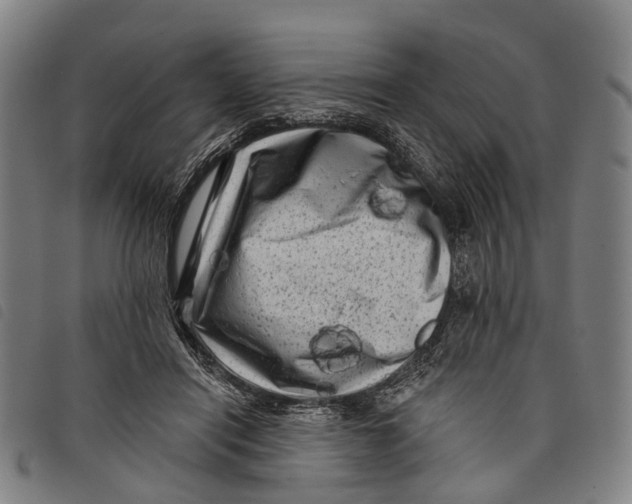 X0000097850454200804041510