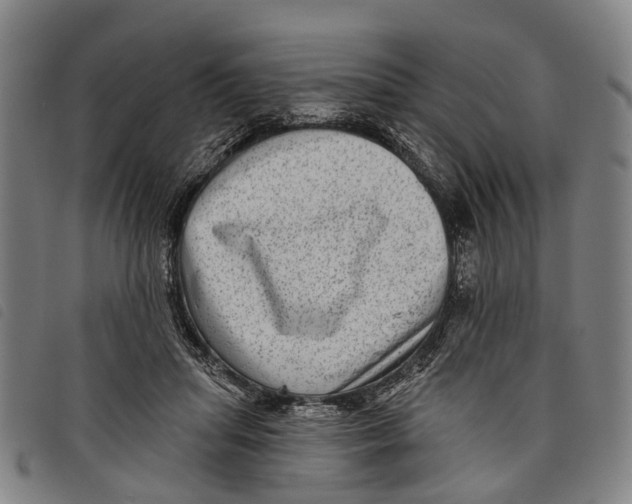 X0000097850455200804041510