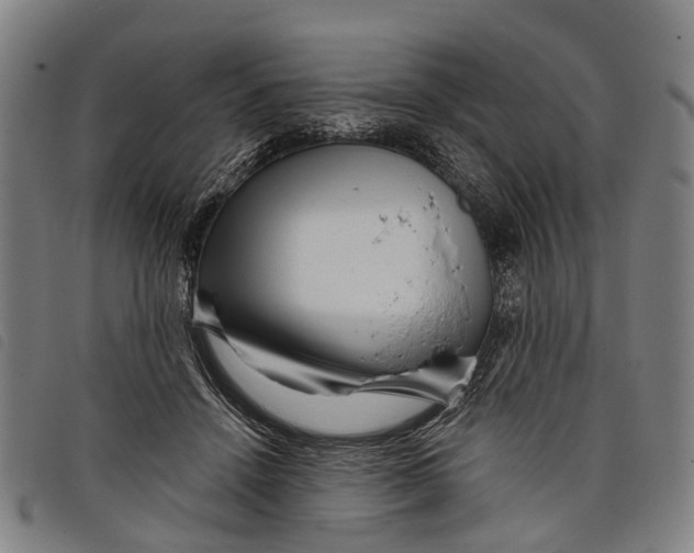 X0000097850456200804041510