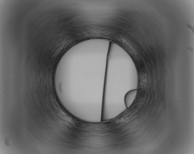 X0000097850457200804041510