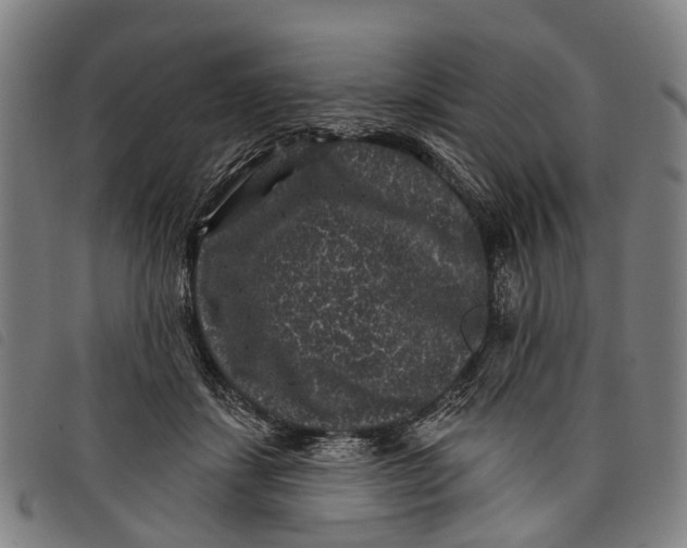 X0000097850459200804041510