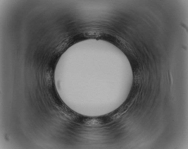 X0000097850460200804041510