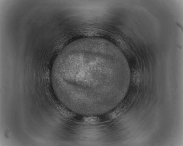 X0000097850461200804041510