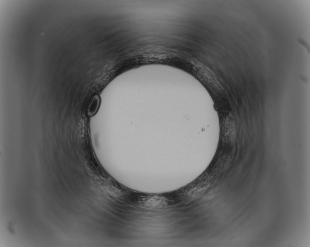 X0000097850463200804041510